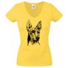 Lady-fit Valueweight V-Neck T-Shirt Thumbnail